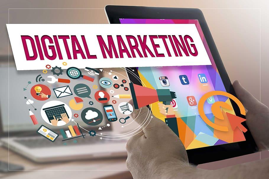 Company specialized in Digital Marketing da Saftec